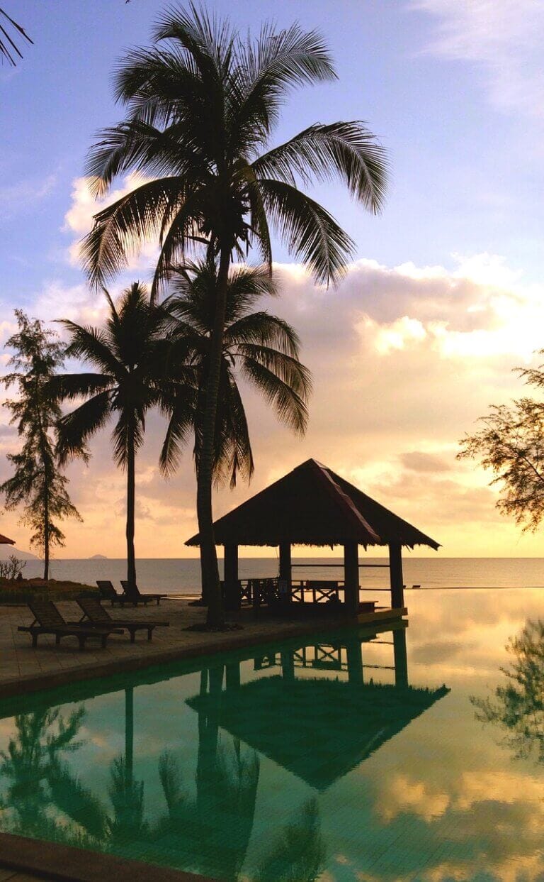 hut, resort, palm tree