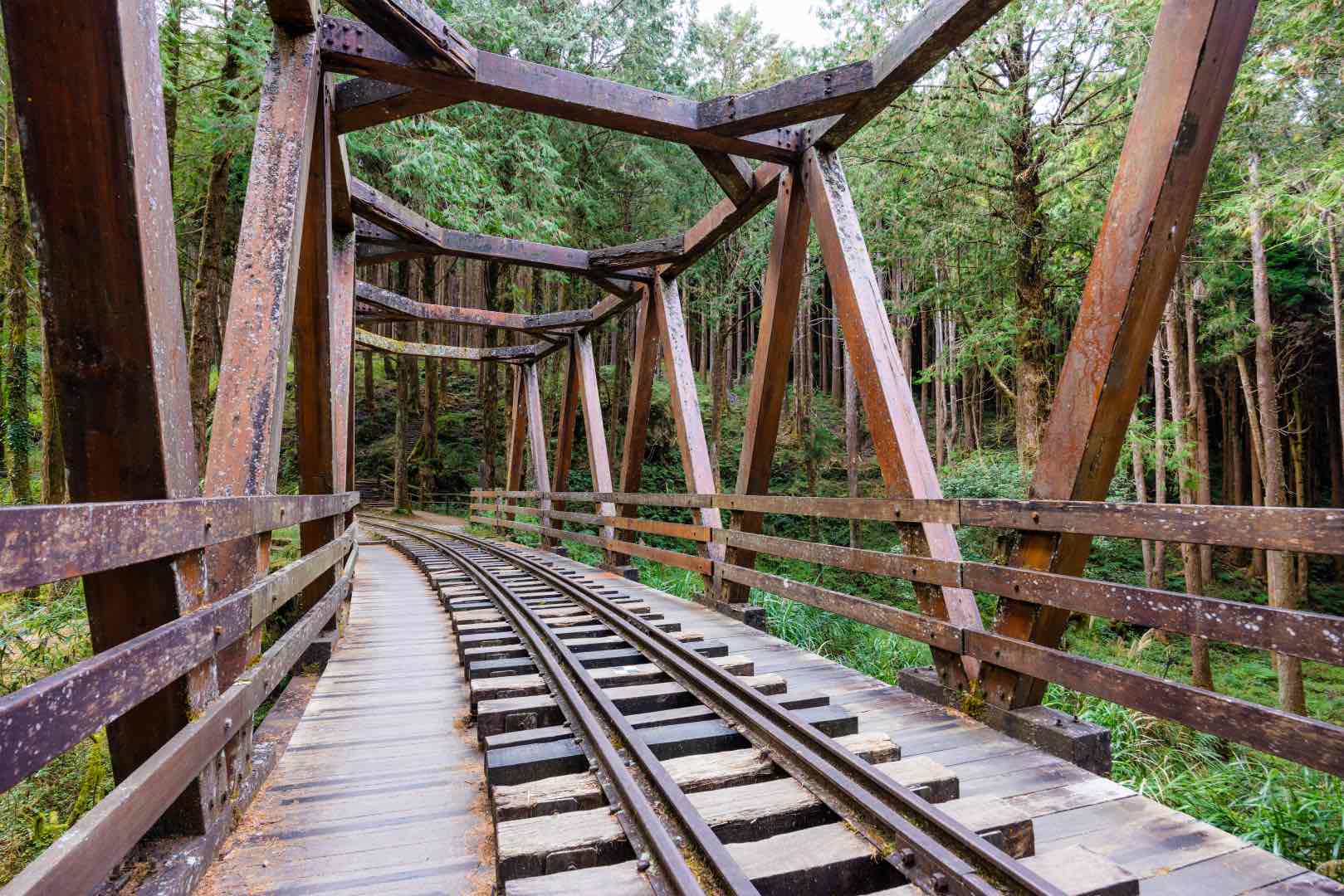 alishan forest railway in taiwan 2023 03 27 18 44 52 utc