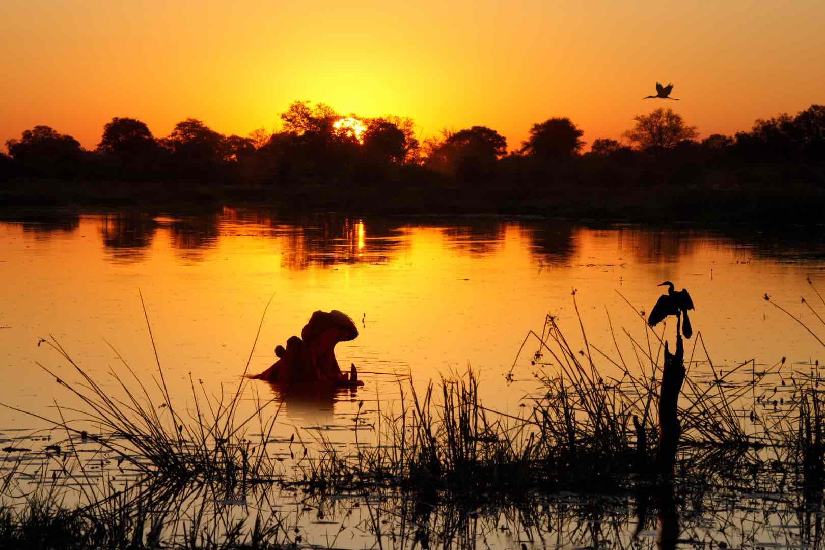 The Okavango