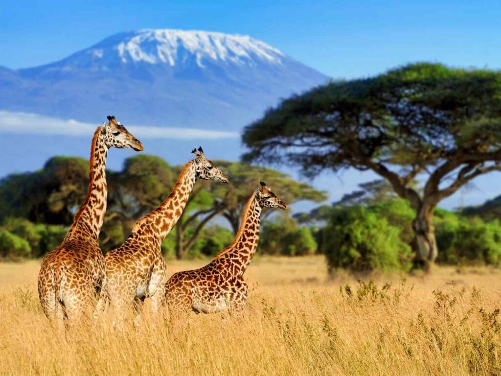 natural wonders in Africa