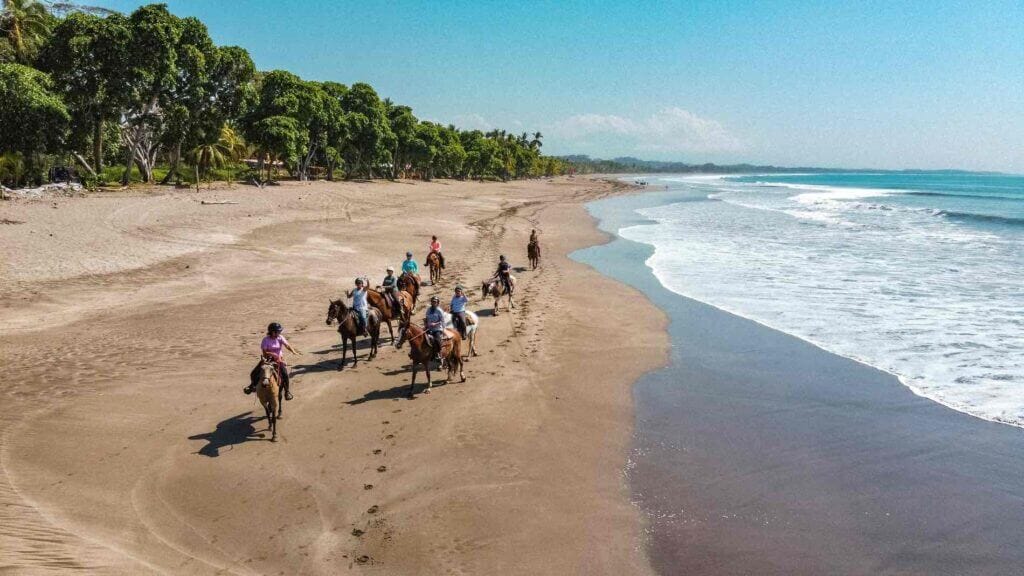 Horses in Esterillos Centro, Costa Rica