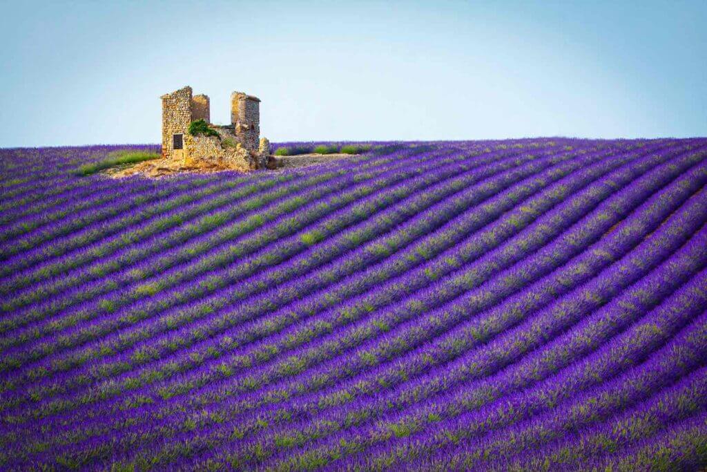 Lavender Field - Aix-en-Provence, France.