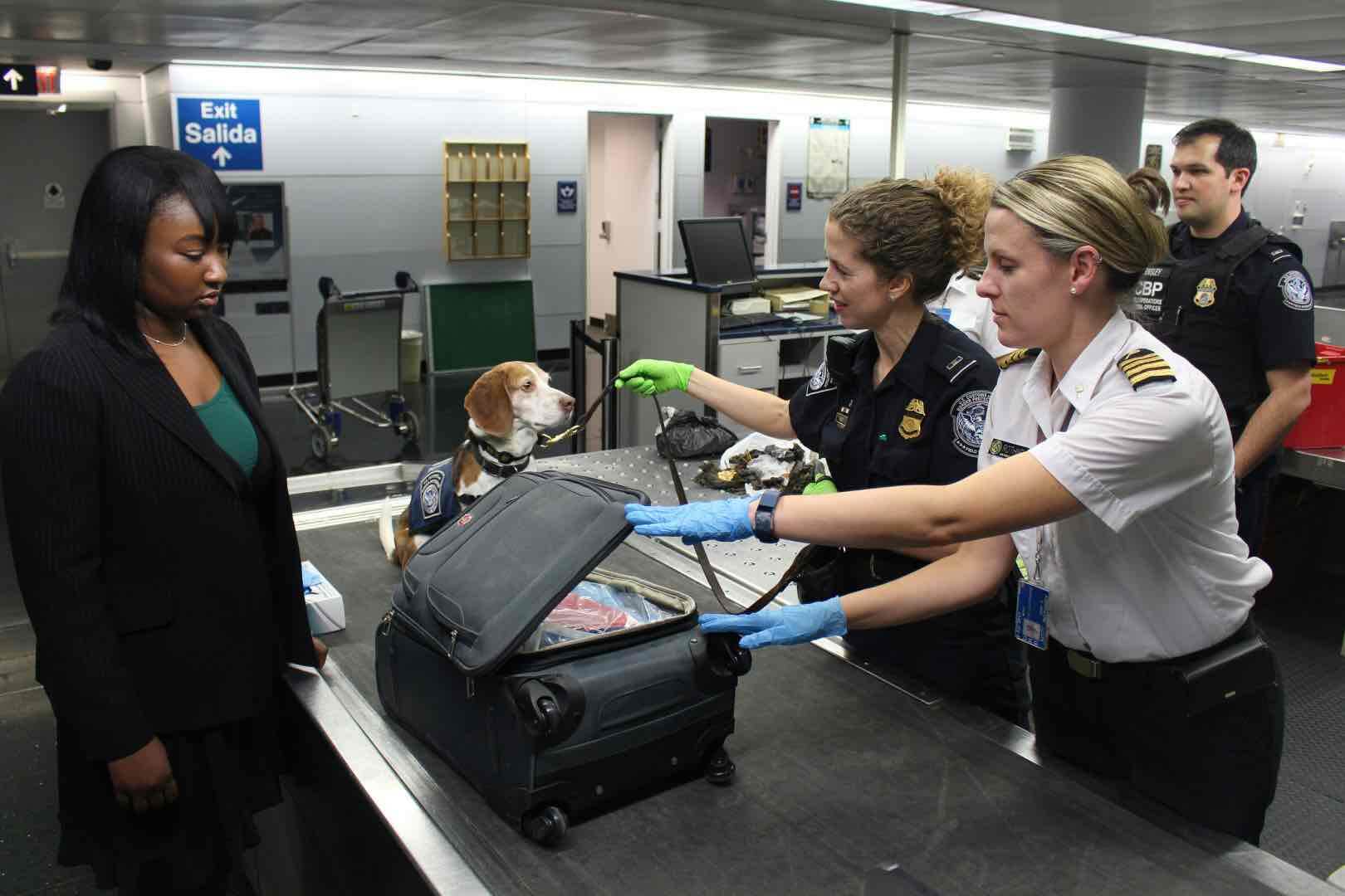 Luggage being checked at TSA security
