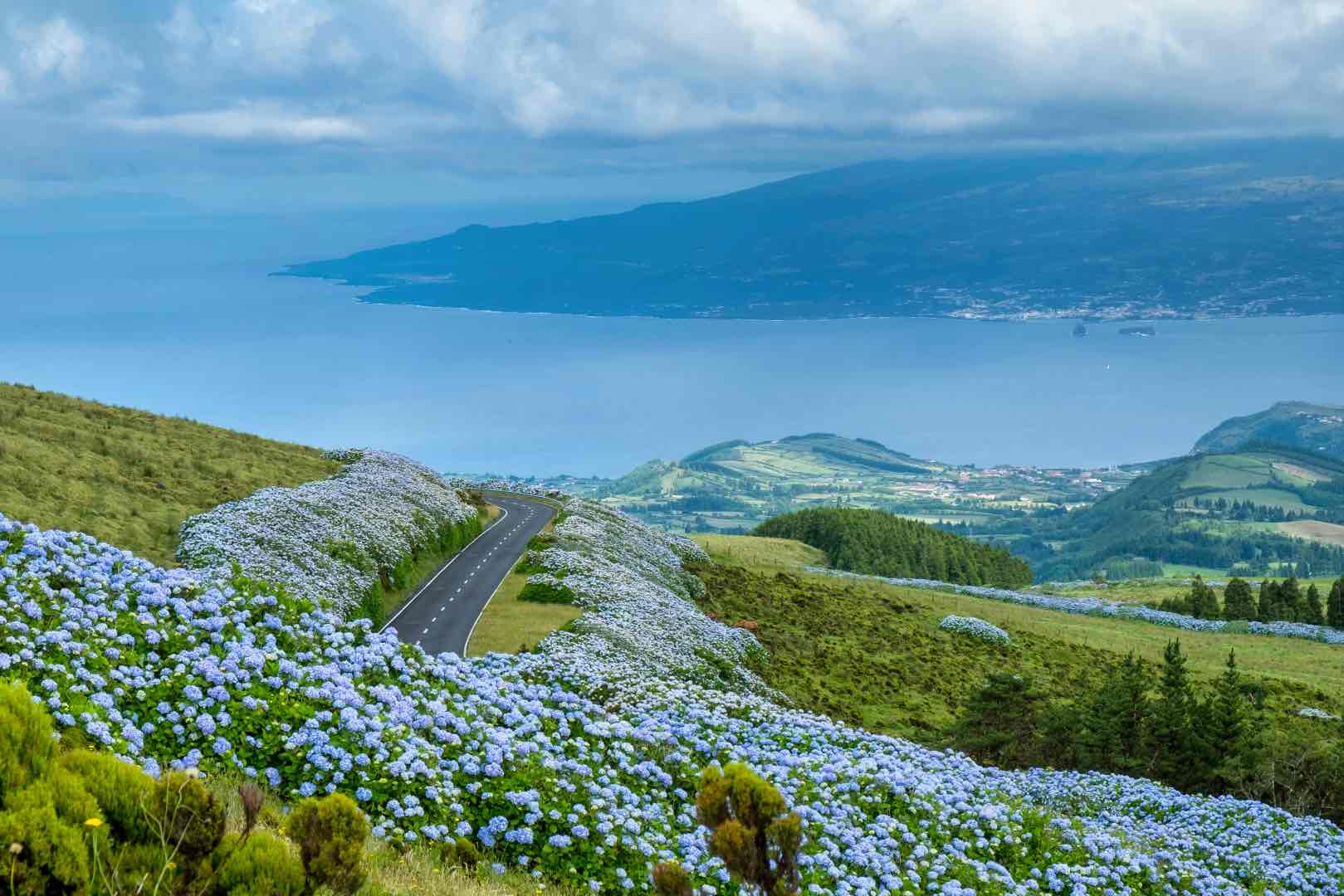 The most beautiful road with flowers with an ocean view on Faial Island, Azores.