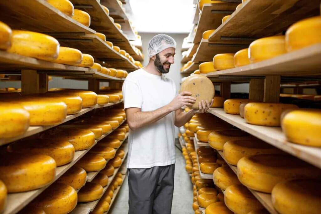 Inspecting Cheese at a Cheese Farm
