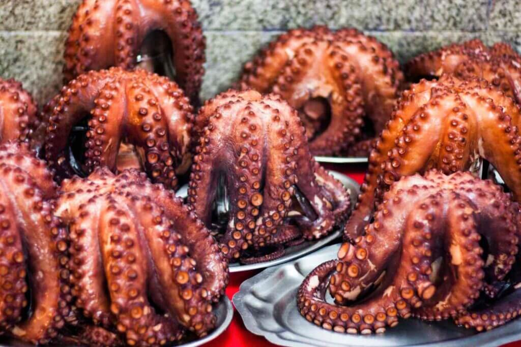 Grilled Ocotopus