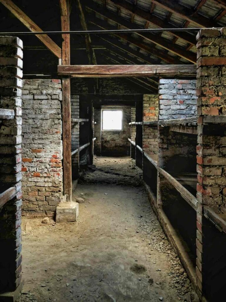 The beds at Auschwitz Birkenau
