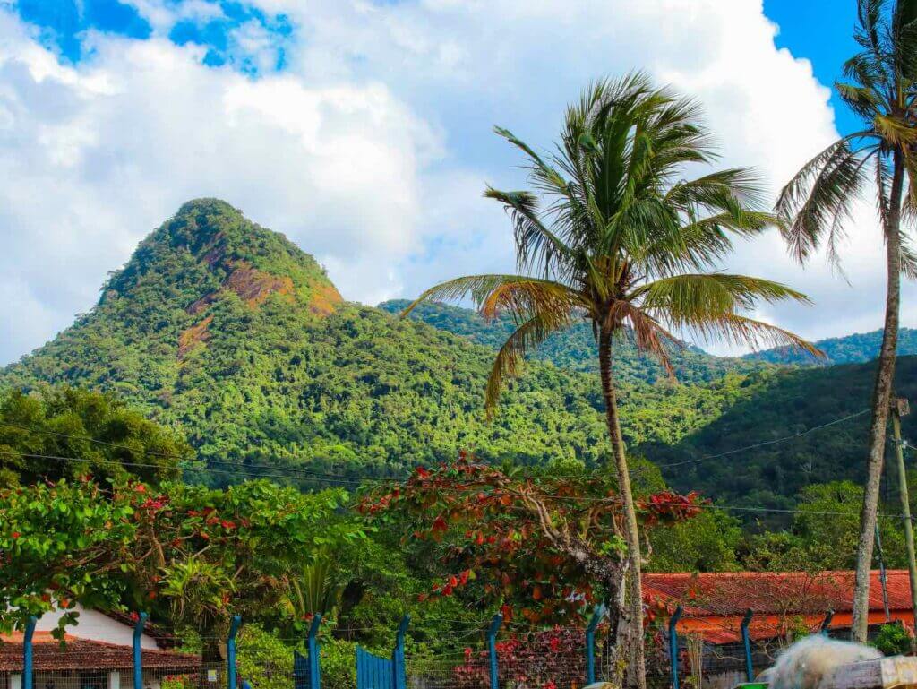 Ilha Grande - RJ