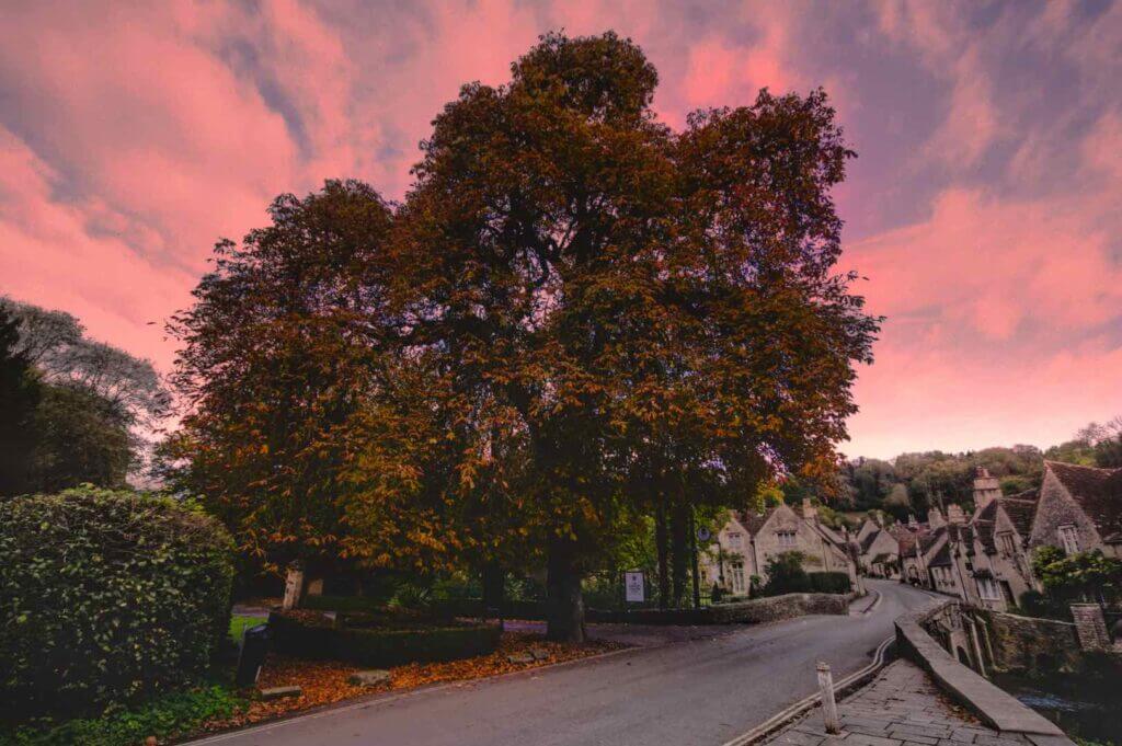 Cotswold Village in Autumn. Big tree with fall foliage