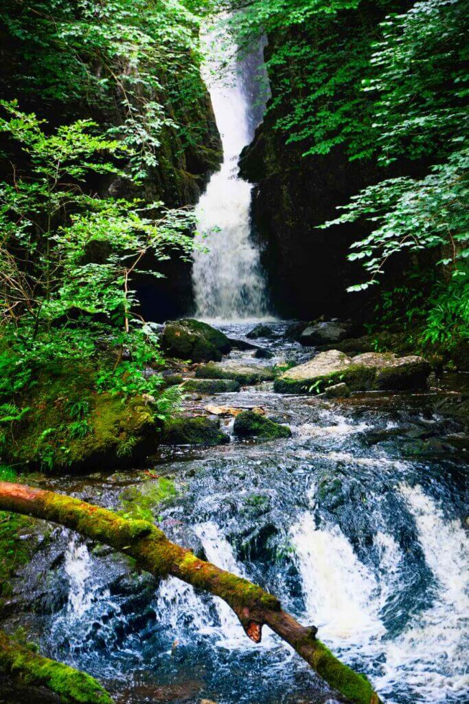 Stainforth Force