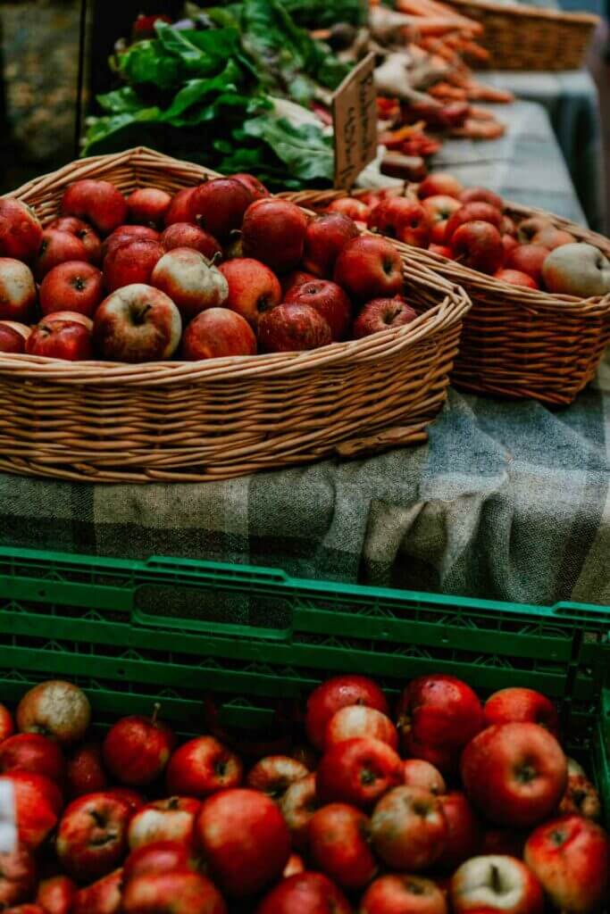 Apple Harvest in Stockholm, Sweden