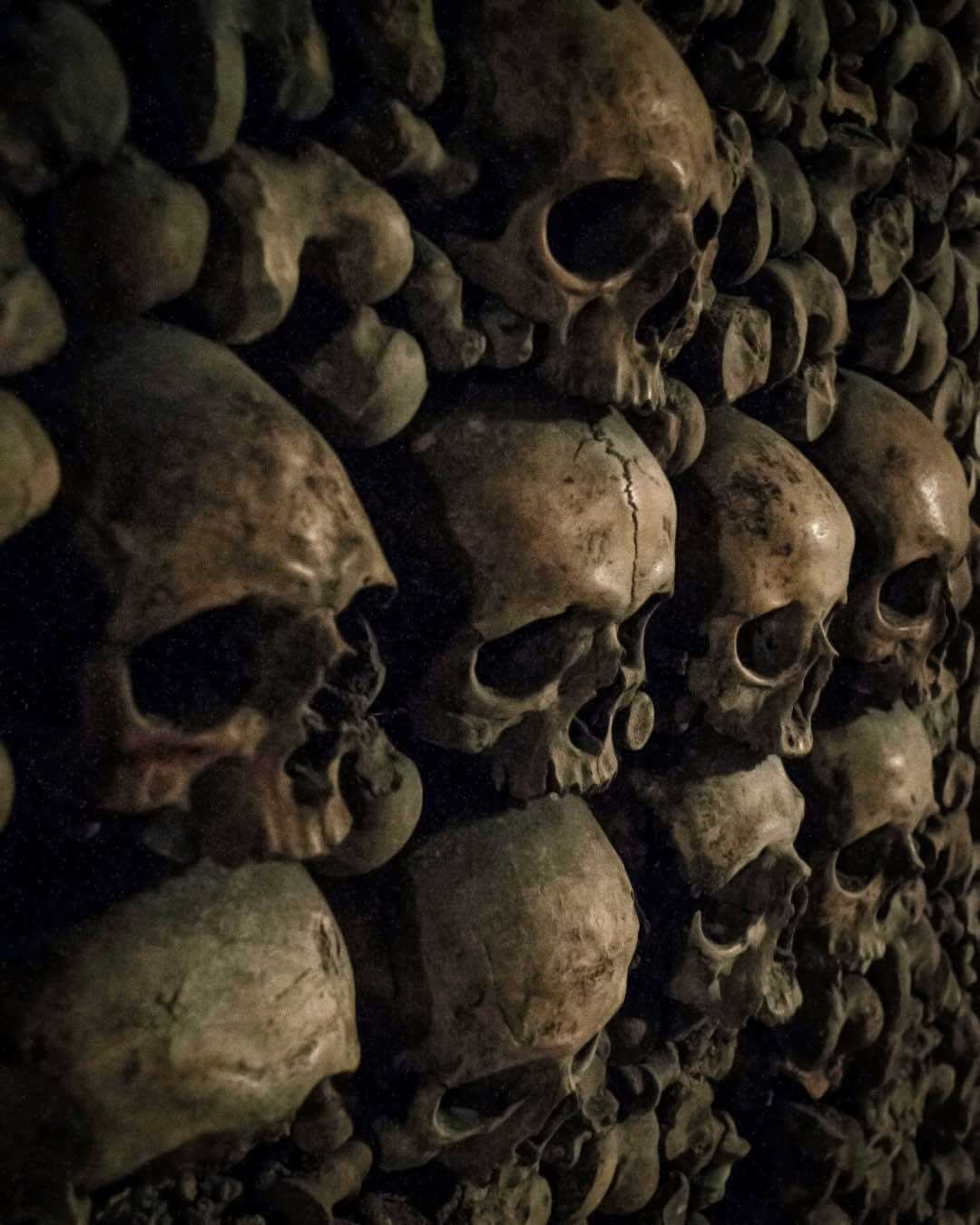 Close-ups of the Skulls