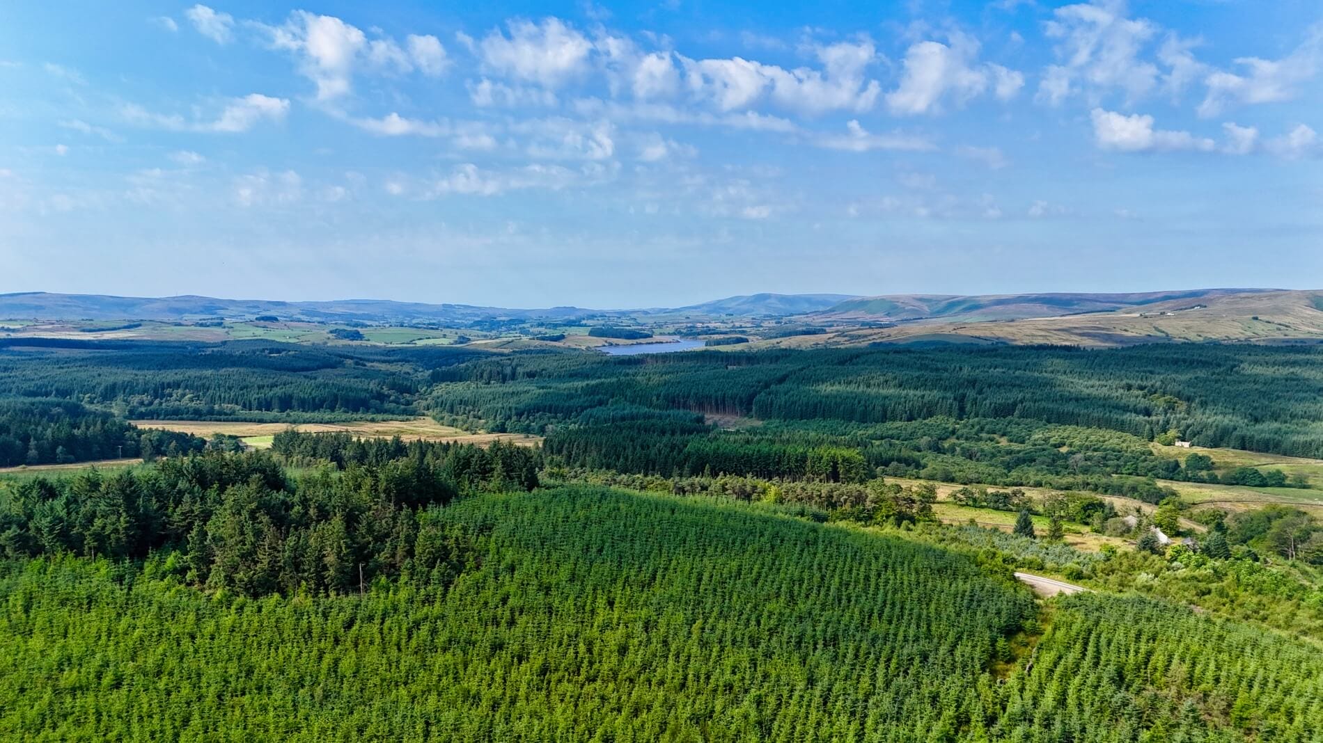 Forest of Bowland